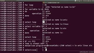 Shell Script looping statement - select loop