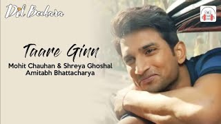 Taare Ginn A.R. Rahman, Mohit Chauhan, Shreya Ghoshal... Full HD Audio Song...
