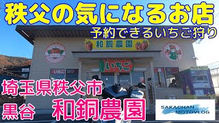 【秩父】気になるお店「和銅農園」さん！　Chichibu japan strawberry picking WADONOEN 秩父市黒谷のいちご狩り園です。