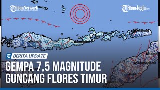 GEMPA 7,5 MAGNITUDE GUNCANG FLORES TIMUR, Peringatan Dini Tsunami