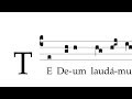 Te Deum laudamus