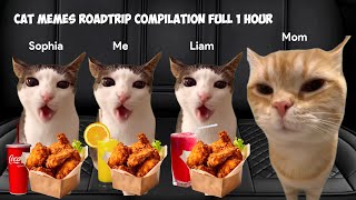 Cat MEMES Roadtrip Compilation  1 Hour