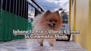 Ulanzi 65 mm on iPhone 13 Pro lenses