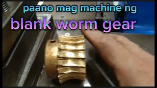 blank worm gear tiger bronze