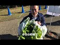 戸田川緑地農業文化園季節の野菜収穫体験2022 12 18