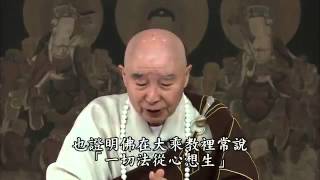 淨土大經解演義(有字幕 415-600) 淨空老法師