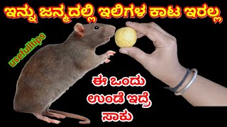 ಹೀಗೆ ಮಾಡುವುದರಿಂದ ಜನ್ಮದಲ್ಲಿ ಇಲಿಗಳ ಕಾಟ ಇರಲ್ಲ ಹಳ್ಳಿಜನರ ಮನೆಮದ್ದು #how to get rid of mouse #viraltips