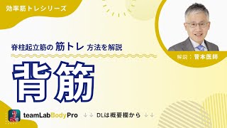 【背筋】　脊柱起立筋の筋トレ方法を現役医師が解説