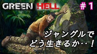 #1【GREEN HELL】突然始まったジャングルサバイバル　ストーリーモード