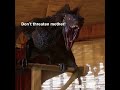 Don_t Threaten -- Mother Daenerys Targaryen Dragon Revenge Time #shorts