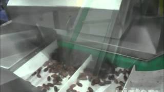 dates paste production line