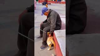 मेरे डॉग का अंकल जी से झगड़ा हो गया😭 #funnydogs #shorts