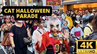 TOKYO, JAPAN 🇯🇵 [4K] Cat Halloween Parade — BAKE NEKO Festival 2024