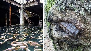 Proof That Nature Takes Control Over Abandoned Places