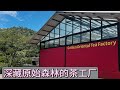 ABOUT GOLDEN ORIENTAL. Tea factory in the forest.深藏原始森林中的茶工厂