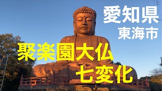 【東海市】聚楽園公園 大仏様のライトアップ💡💡⠜