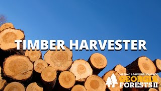 Timber Harvester | Georgia Forests II