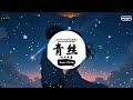 青丝 (抖音DJ版) - 时光胶囊『落花纷飞飘散 迷乱我双眼，烟波江畔渔船 今宵灯火阑珊。』♪ || 王者荣耀超燃语音BGM | 抖音 | TikTok ♪