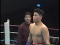 taiei kin vs. haruo wada 30 03 1993