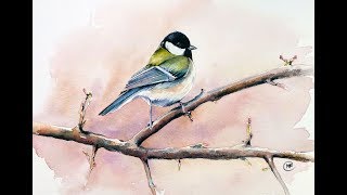 Watercolor Bird on a Tree Painting Demo