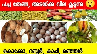 kerala market today. today coconut rate 17-12-24. വില നിലവാരം