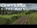 Campuhan Ridge Walk -  Ubud  |  Indonesia