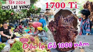 Chợ TẾT LAI VUNG 2024 - Phát hiện GỖ QUÝ 1000 năm tổng giá 1700 tỷ VND