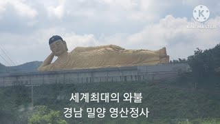 세계최대와불 경남 밀양 영산정사