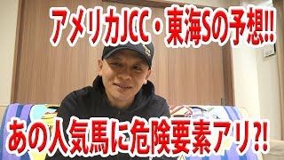 【わさお】アメリカジョッキーCC・東海Sの予想!!【競馬予想】