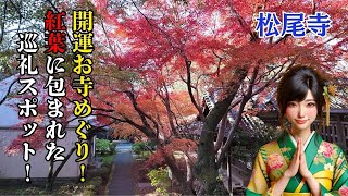 【如意輪観音と紅葉が導く癒しの空間】お寺めぐり大阪！松尾寺！紅葉に映える楼門の美