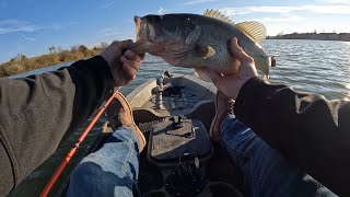 Spinner bait fishing for MONSTER bass from my kayak. Best day of bass fishing I’ve ever had!