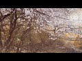 O God Guide Me - Doak/He Ohana