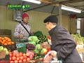 Почему дачники продают свой урожай с коленок