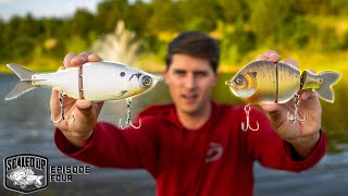 My BEST Big Swimbait Video YET!! (Scaled Up Ep. 4)