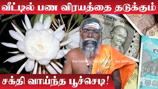 வீட்டில் பண விரயத்தை தடுக்கும் சக்தி வாய்ந்த செடி | Agni Ruthran | வீட்டில் பணம் தங்க | Panam Sera