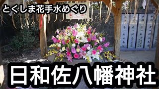 【徳島県 日和佐八幡神社】とくしま花手水めぐり⑧【海部郡 美波町】