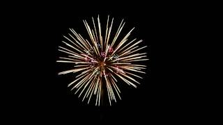 Japanese Fireworks　昇小花桔梗芯錦先方向変化