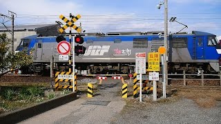 JR 東海道本線【No.56】大塚本田踏切・貨物列車 EF210-125 桃太郎 通過・走行映像　静岡県沼津市