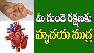 మీ హృదయ ఆరోగ్యానికి హృదయ ముద్ర  | Hrudaya Mudra for Healthy Heart