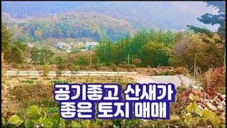 [좋은 매물] 영북면 산정리 500평!