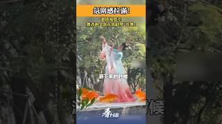 氛圍感拉滿！憑借視覺差，舞者和金魚在魚缸里「共舞」  #舞蹈 #中國舞 #古典舞 #氛圍感