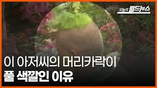 [30초 월드] 이 아저씨의 머리카락이 풀 색깔인 이유 / OBS 오늘의 월드뉴스