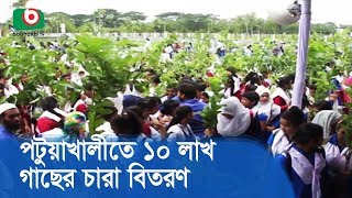 পটুয়াখালীতে ১০ লাখ গাছের চারা বিতরণ | Distribution of 1 Lakh Plant Seed | News BD