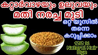 കറ്റാർവാഴയും ഉലുവയും മതി നരച്ച മുടി ഒറ്റ യൂസിൽ തന്നെ കറുപ്പിക്കാം|100 % Natural Hair Dye