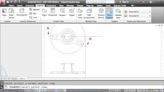 Module_4_Layer Reference_Offset_Align_Detail_Aux Views