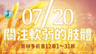 20230720每日新眼光讀經【關注軟弱的肢體】哥林多前書12章1～31節