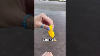 LOOKING FOR FIDGETS at the BEACH! ๐๐ฑ๐ *weird amazon fidgets*