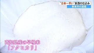 「日本一早い」新酒の仕込み始まる、香美市松尾酒造。高知県産の早場米「フクヒカリ」を使用 (24/08/20 17:25)