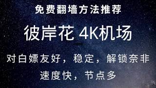 50 免费机场推荐：彼岸花4k机场，V2ray节点，免费可用，速度快，流量多，对白嫖用户很友好