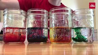 STEM at Home: Rainbow Celery
